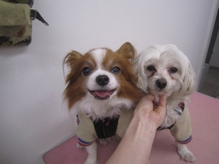 IMG_1206 (640x480).jpg