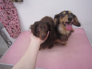 IMG_2355 (640x480).jpg