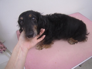 IMG_2701 (640x480).jpg